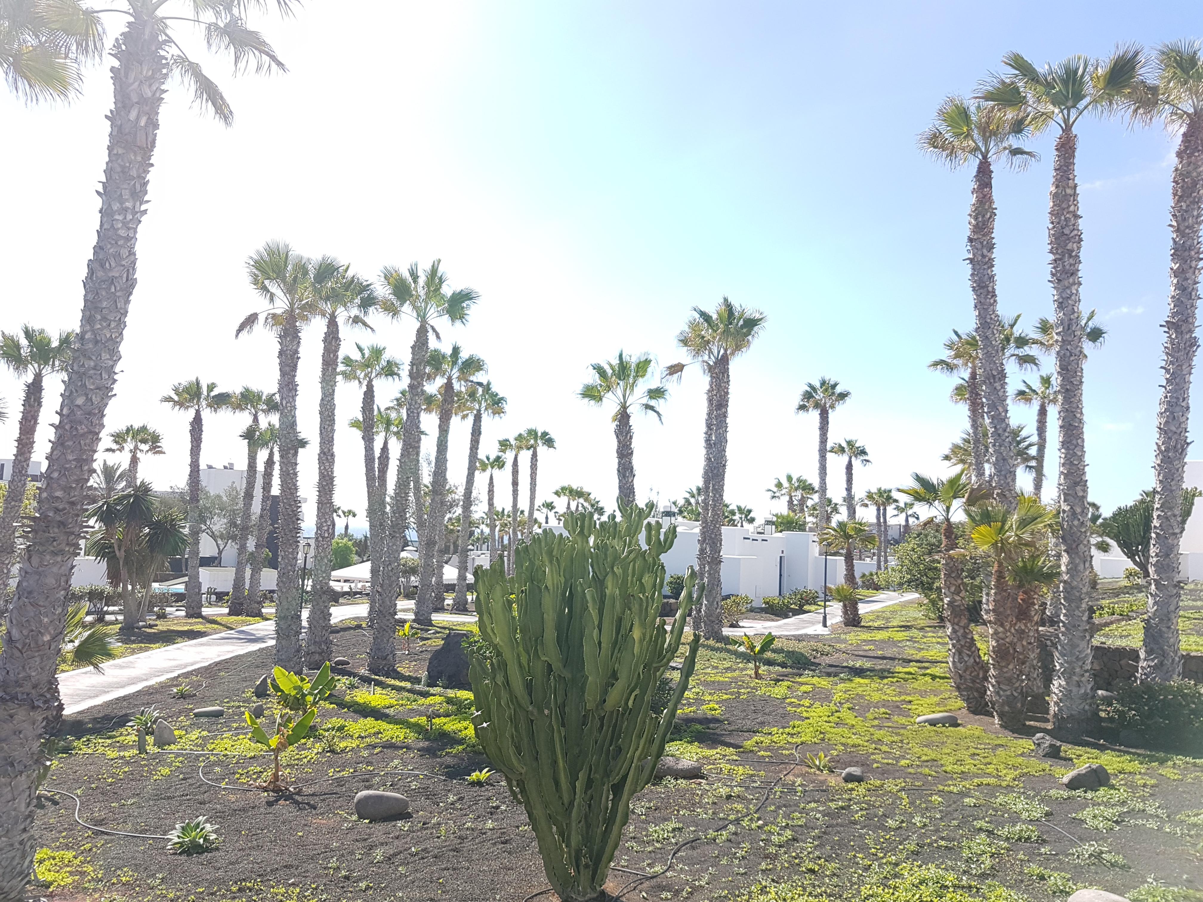 Palmeras Garden Playa Blanca  Exterior foto