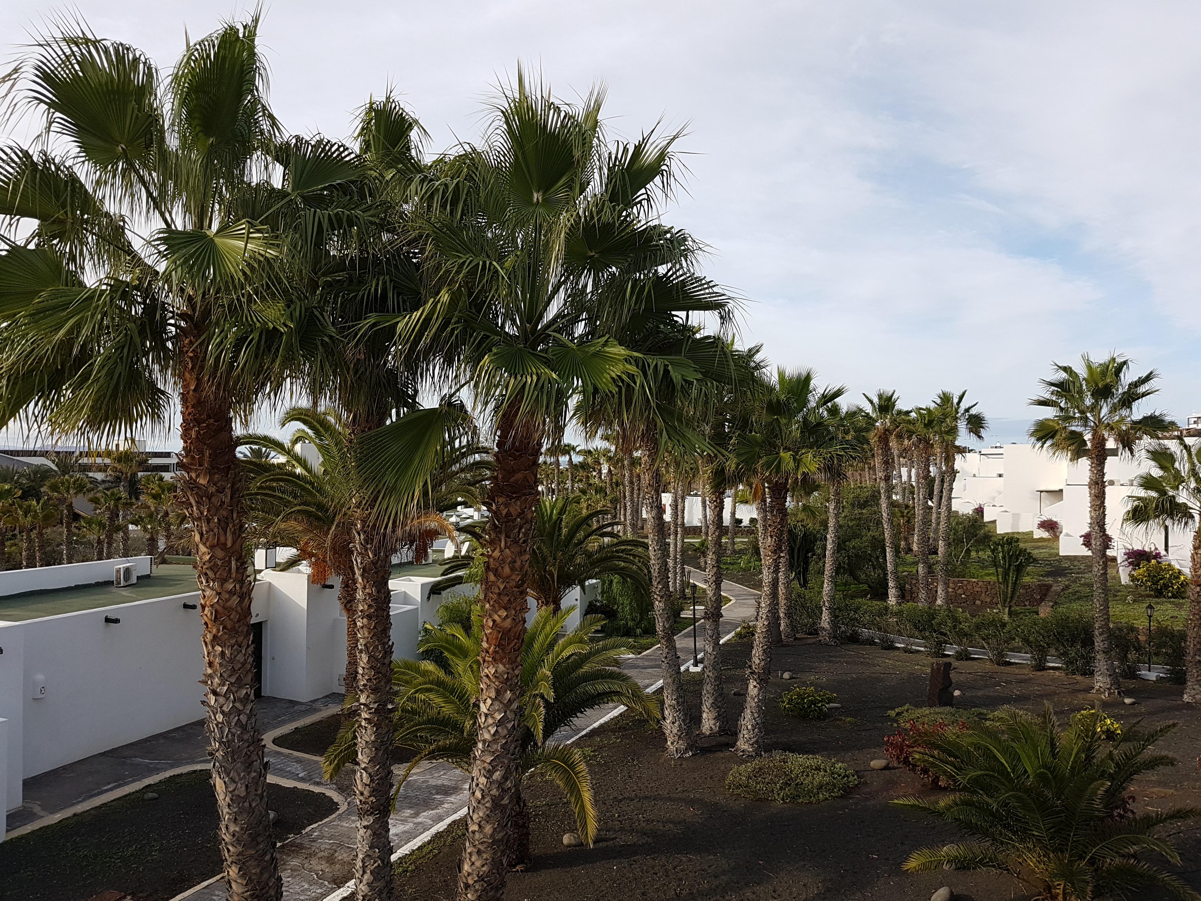Palmeras Garden Playa Blanca  Exterior foto